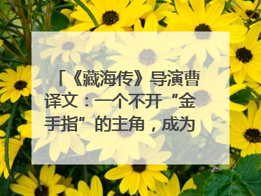 《藏海传》导演曹译文：一个不开“金手指”的主角，成为苍生守护者