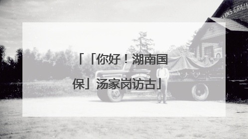 「你好！湖南国保」汤家岗访古