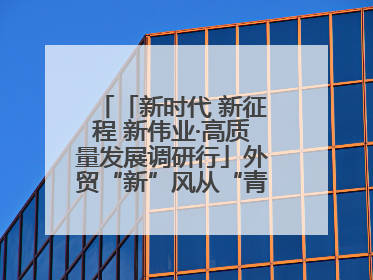 「新时代 新征程 新伟业·高质量发展调研行」外贸“新”风从“青”来 “双向奔赴”启新程