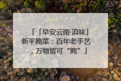 「早安云南·滇味」新平腌菜：百年老手艺，万物皆可“腌”