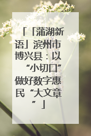 「蒲湖新语」滨州市博兴县：以“小切口”做好数字惠民“大文章”