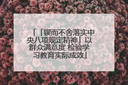「锲而不舍落实中央八项规定精神」以群众满意度 检验学习教育实际成效