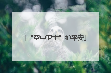 “空中卫士”护平安