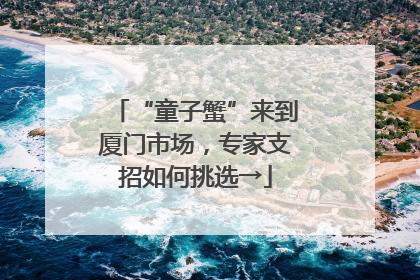 “童子蟹”来到厦门市场，专家支招如何挑选→