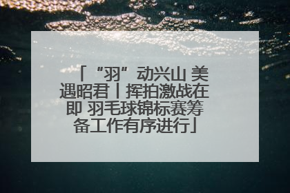 “羽”动兴山 美遇昭君丨挥拍激战在即 羽毛球锦标赛筹备工作有序进行