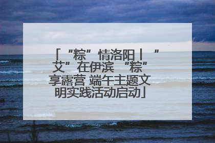 “粽”情洛阳丨“艾”在伊滨 “粽”享露营 端午主题文明实践活动启动