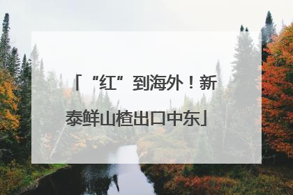 “红”到海外！新泰鲜山楂出口中东