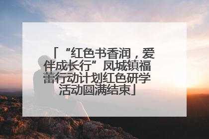 “红色书香润，爱伴成长行”凤城镇福蕾行动计划红色研学活动圆满结束