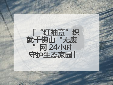 “红袖章”织就千佛山“无废”网 24小时守护生态家园
