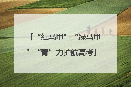 “红马甲”“绿马甲”“青”力护航高考