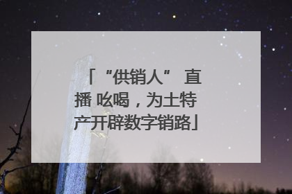 “供销人” 直播 吆喝，为土特产开辟数字销路