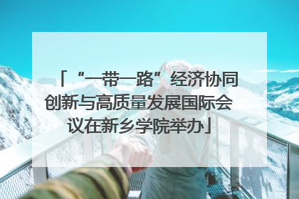 “一带一路”经济协同创新与高质量发展国际会议在新乡学院举办