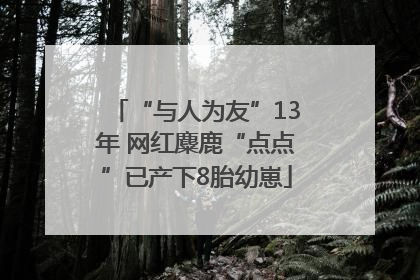 “与人为友”13年 网红麋鹿“点点”已产下8胎幼崽