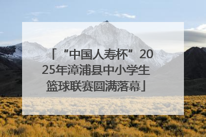 “中国人寿杯”2025年漳浦县中小学生篮球联赛圆满落幕