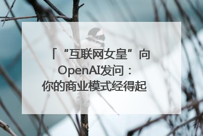 “互联网女皇”向OpenAI发问：你的商业模式经得起价格战考验么？