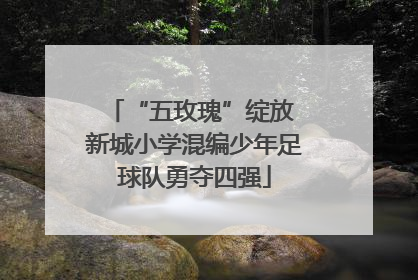 “五玫瑰”绽放 新城小学混编少年足球队勇夺四强