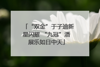 “双金”于子迪新星闪耀 “九冠”潘展乐如日中天