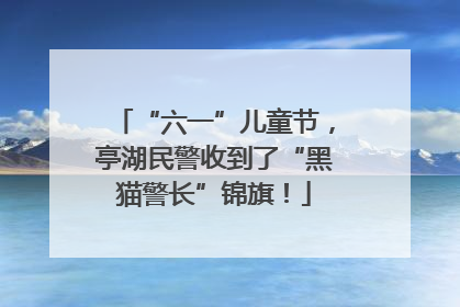 “六一”儿童节，亭湖民警收到了“黑猫警长”锦旗！