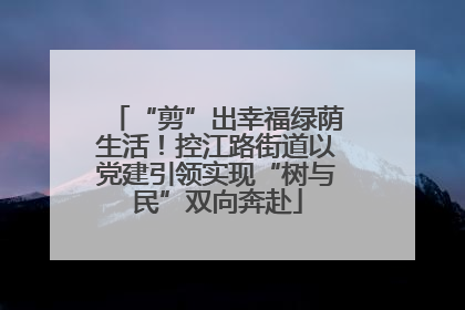 “剪”出幸福绿荫生活！控江路街道以党建引领实现“树与民”双向奔赴