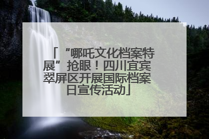 “哪吒文化档案特展”抢眼！四川宜宾翠屏区开展国际档案日宣传活动