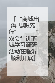 “商城出海 思想先行”——“双会”进商城学习调研活动在临沂顺利开展