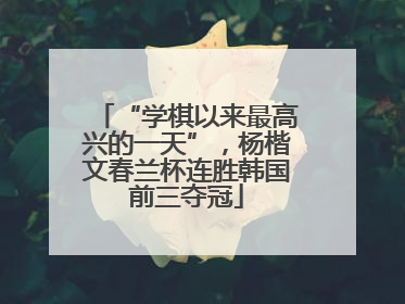 “学棋以来最高兴的一天”，杨楷文春兰杯连胜韩国前三夺冠
