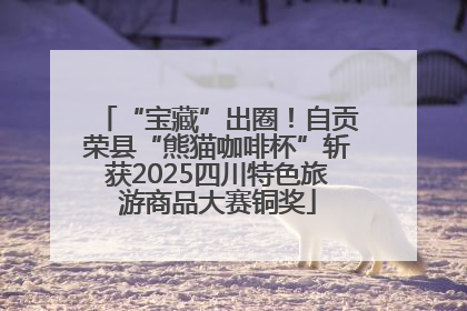 “宝藏”出圈！自贡荣县“熊猫咖啡杯”斩获2025四川特色旅游商品大赛铜奖