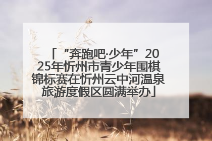 “奔跑吧·少年”2025年忻州市青少年围棋锦标赛在忻州云中河温泉旅游度假区圆满举办
