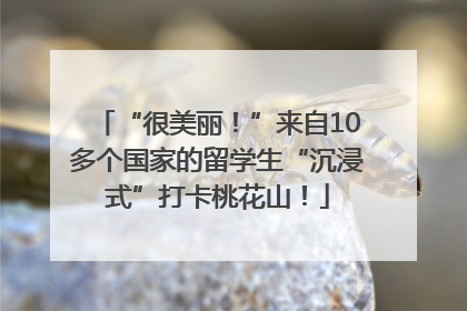 “很美丽！”来自10多个国家的留学生“沉浸式”打卡桃花山！