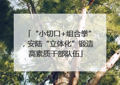 “小切口+组合拳”，安陆“立体化”锻造高素质干部队伍