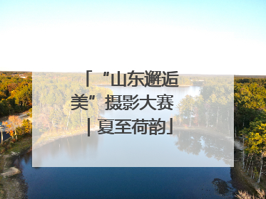 “山东邂逅美”摄影大赛｜夏至荷韵