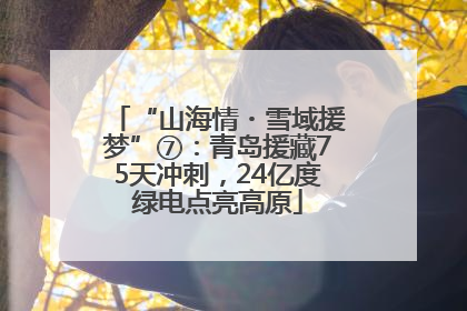 “山海情・雪域援梦”⑦：青岛援藏75天冲刺，24亿度绿电点亮高原