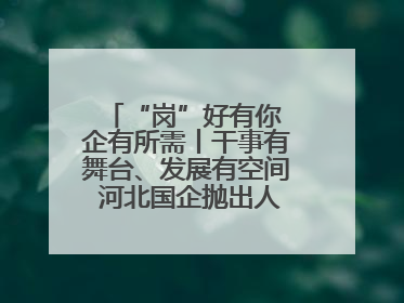 “岗”好有你 企有所需丨干事有舞台、发展有空间 河北国企抛出人才“橄榄枝”