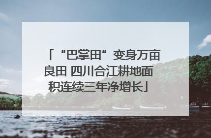 “巴掌田”变身万亩良田 四川合江耕地面积连续三年净增长