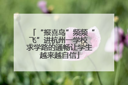 “报喜鸟”频频“飞”进杭州一学校 求学路的通畅让学生越来越自信
