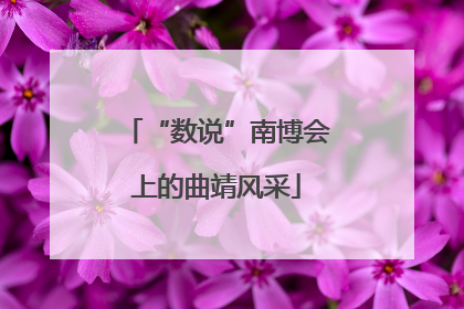 “数说”南博会上的曲靖风采