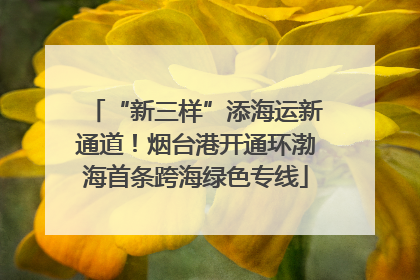 “新三样”添海运新通道！烟台港开通环渤海首条跨海绿色专线