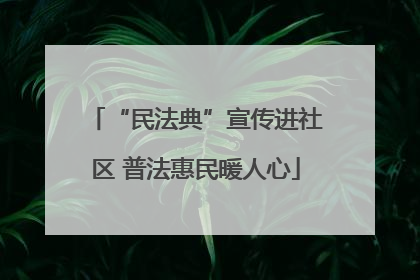 “民法典”宣传进社区 普法惠民暖人心