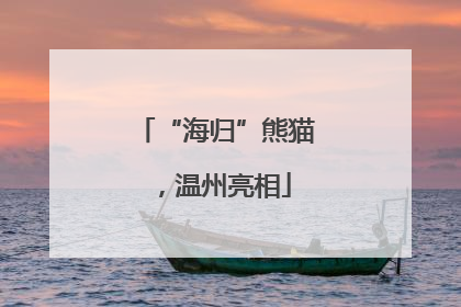 “海归”熊猫，温州亮相