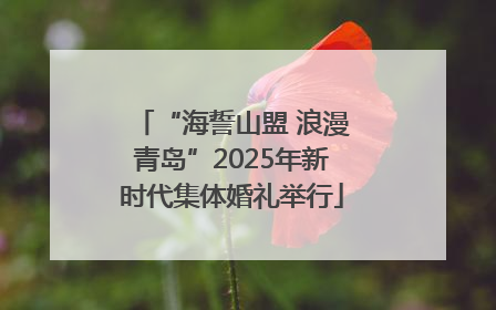 “海誓山盟 浪漫青岛”2025年新时代集体婚礼举行