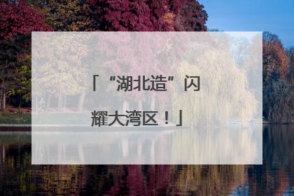 “湖北造”闪耀大湾区！