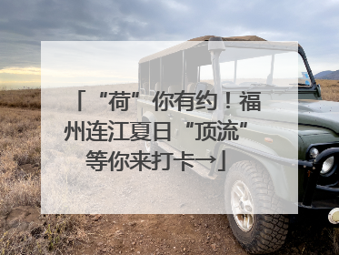 “荷”你有约！福州连江夏日“顶流”等你来打卡→