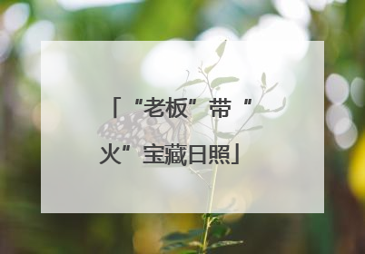 “老板”带“火”宝藏日照
