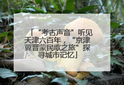 “考古声音”听见天津六百年，“京津冀晋蒙民歌之旅”探寻城市记忆