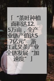 “茶叶种植面积达12.5万亩，全产业链产值达57亿元” 浙江武义茶产业全链发展“加速度”