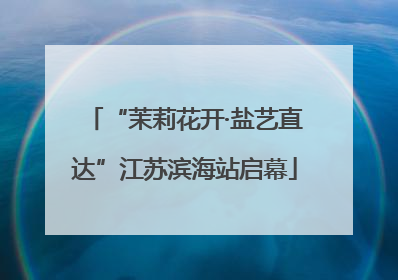 “茉莉花开·盐艺直达”江苏滨海站启幕