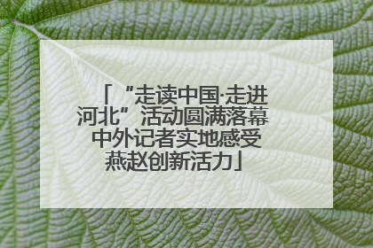 “走读中国·走进河北”活动圆满落幕 中外记者实地感受燕赵创新活力