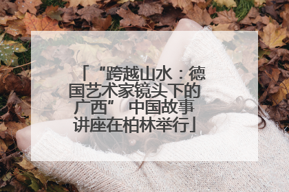 “跨越山水：德国艺术家镜头下的广西” 中国故事讲座在柏林举行