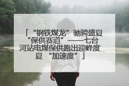 “钢铁煤龙”驰骋盛夏 “保供赛道”——七台河站电煤保供跑出迎峰度夏 “加速度”