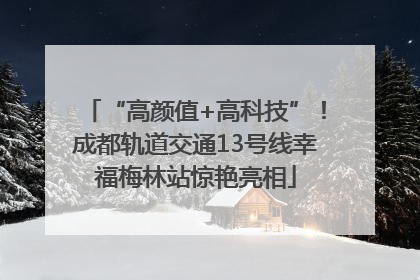 “高颜值+高科技”！成都轨道交通13号线幸福梅林站惊艳亮相